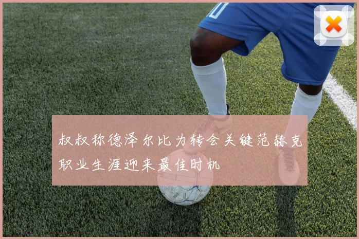 叔叔称德泽尔比为转会关键范赫克职业生涯迎来最佳时机